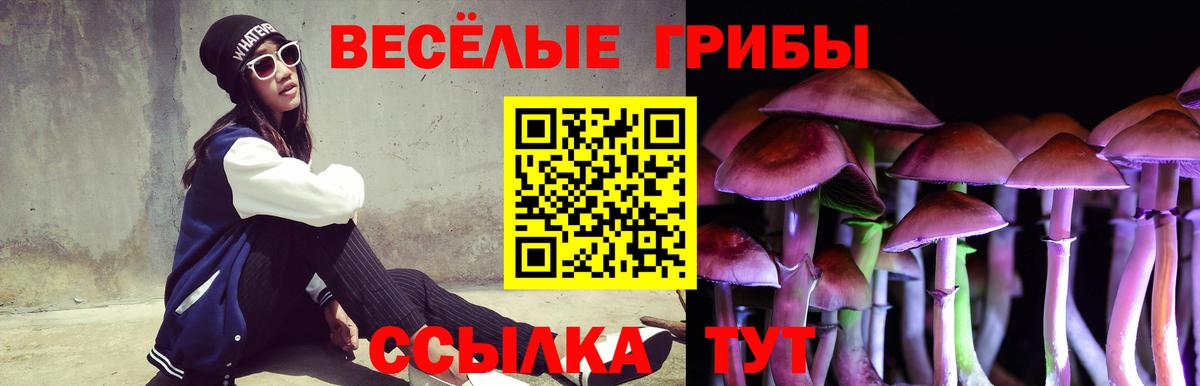 Ачхой-Мартан  Галлюциногенные грибы мухоморы  Вход с VPN 